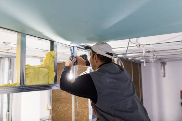 Best Insulation Installation Services in Sumter, SC